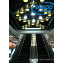 Superior Reliable High Performance Parallel Escalator